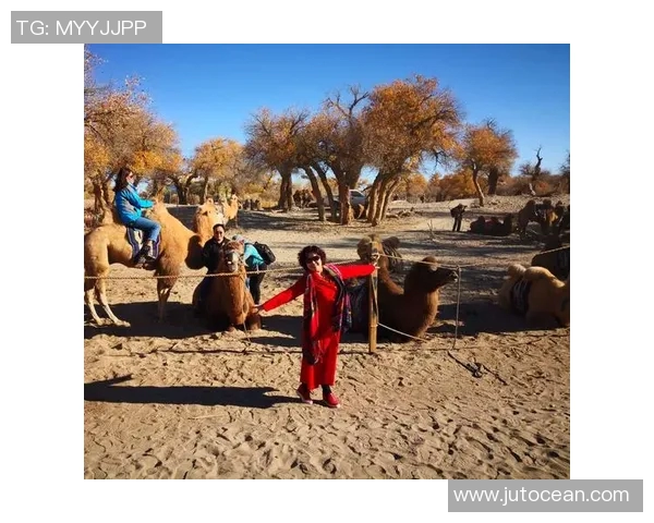 我不是天才足球明星但我依然热爱这项运动与追逐梦想的旅程 我不是天才足球明星但我依然热爱这项运动与追逐梦想的旅程