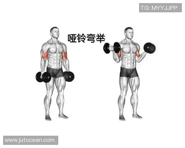 哑铃训练多久才能有效锻炼出明显的胸肌效果与注意事项解析