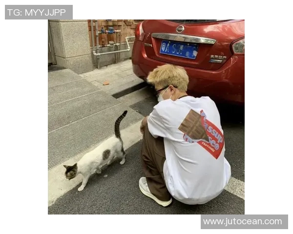 小众明星篮球场上的魅力瞬间与个性头像分享